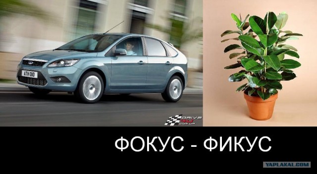 Клички у автомобилей