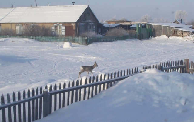 Ты никогда не станешь одним из нас!