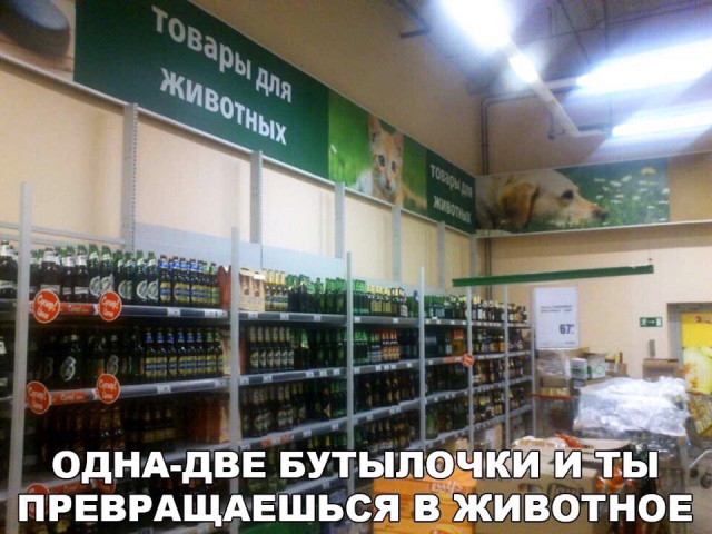 Картинки по-приколу