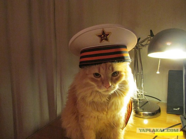 Как офицер заткнул командира бригады перед всем строем
