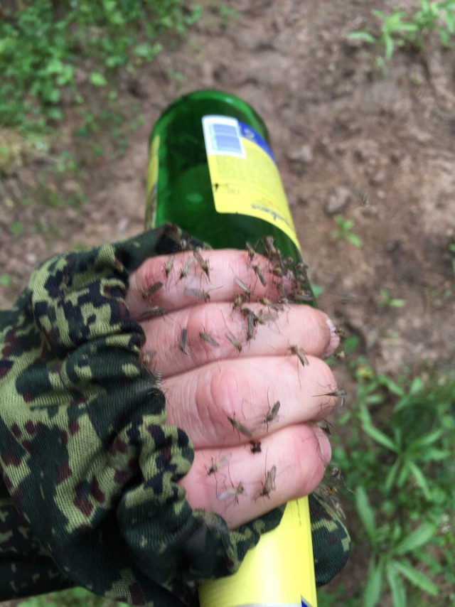 WTF: что тут происходит?