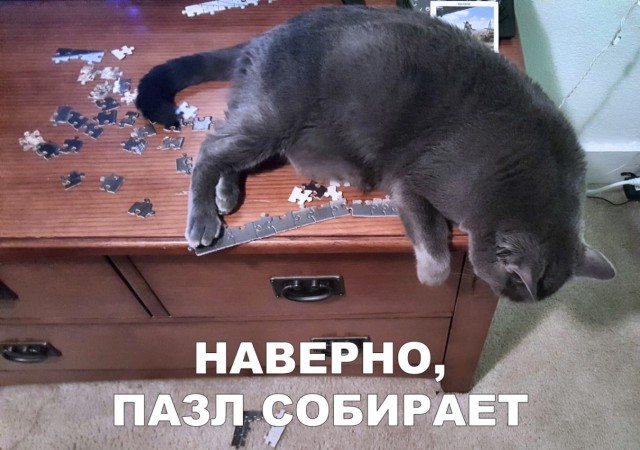 Немного милоты