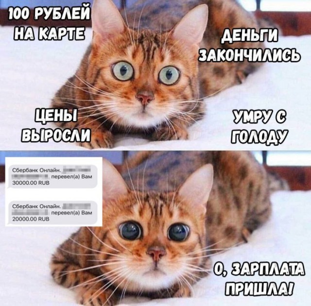 Немного картинок для настроения