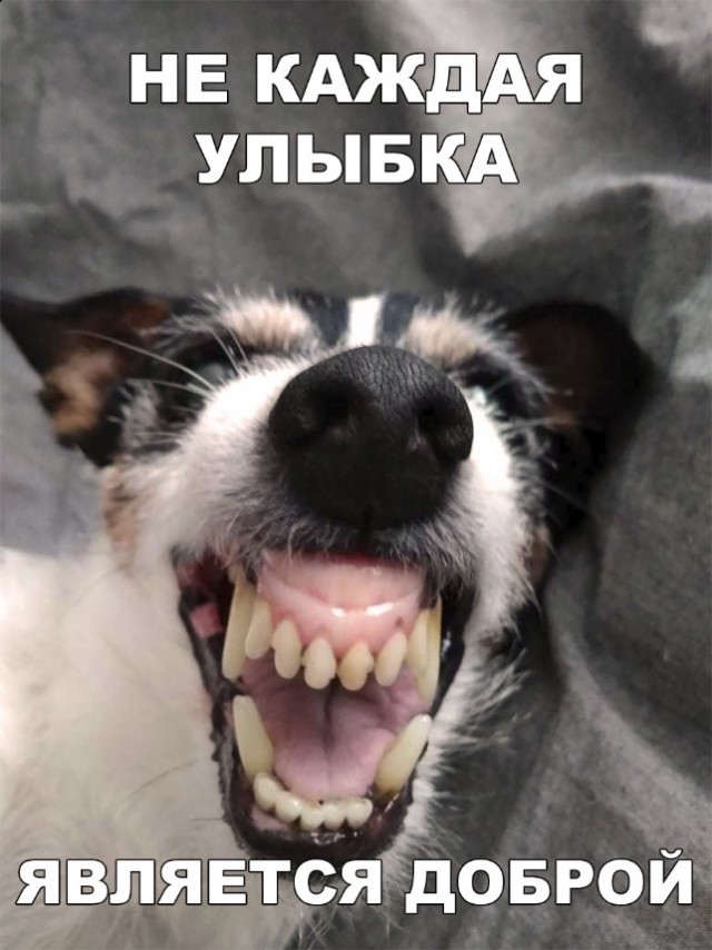 Нестандартный юмор