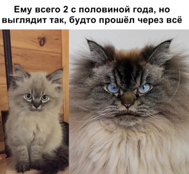 Немного картинок для настроения