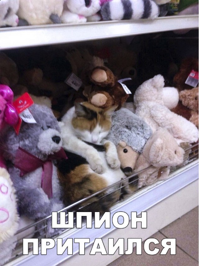 Нестандартный юмор
