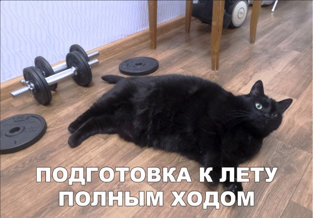 Нестандартный юмор