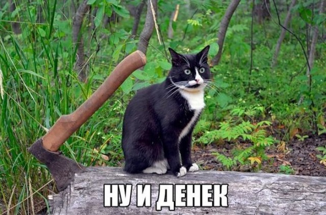 Прикольные и просто красивые картинки 05.08.2019