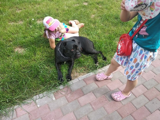 Собакочетверг же 19 09 2019