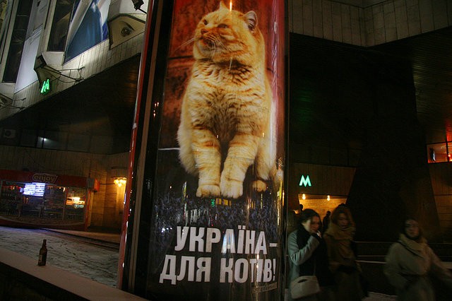 Украина для котов!