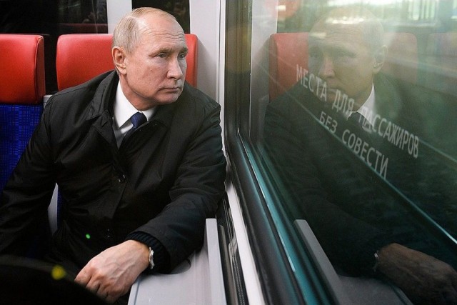 Кошка Мурка едет в дурку