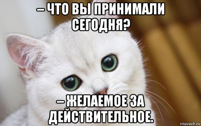 Никогда такого не было, и вот... Цены на мясо и молоко в 2020 году могут подорожать на 12%