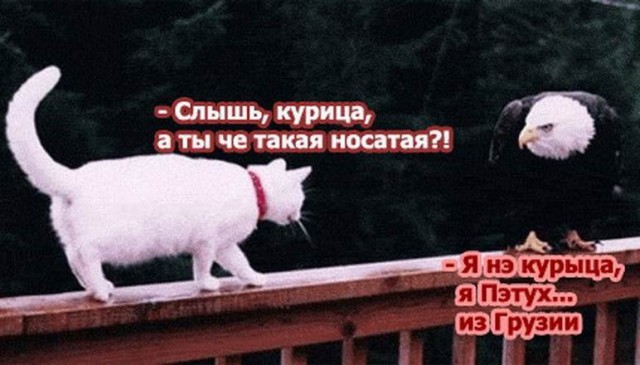 Пара-пара-пам! Фьють! 12.04.20