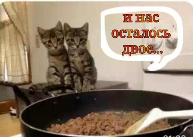 Конец света