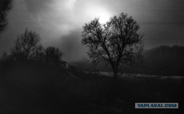 Руки из жопы или как я Сменой 8М фотографировал. Сравнение фотографий