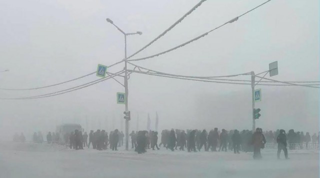 Картинки на 24.01