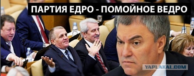 Ученых не услышали. Госдума РФ окончательно одобрила закон о просвещении