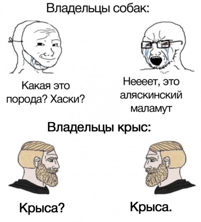 Весёлый полтишок 23.03