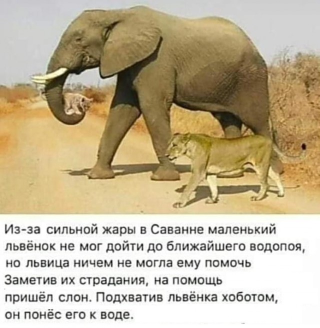 Картинки с надписями и всякие жизненные фразы 25.04.21