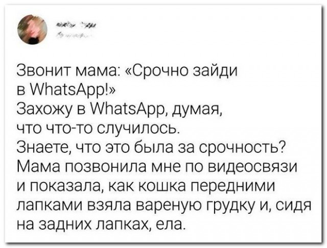 Забавные комментарии из социальных сетей 14.06.21