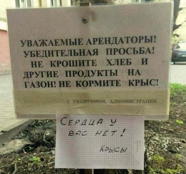 Смешные обьявления