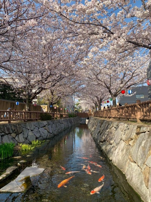 Картинки и мемы для настроения 05.08.2021