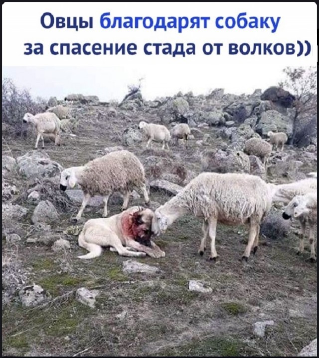 Картинки с надписями и всякие жизненные фразы