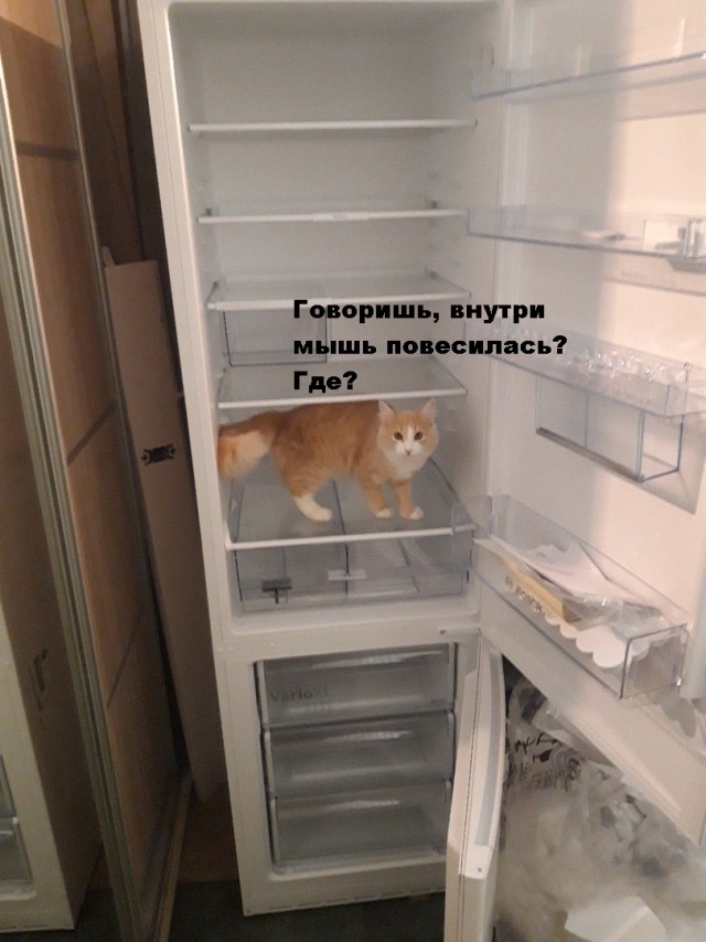 Картинки и мемы для настроения - 25