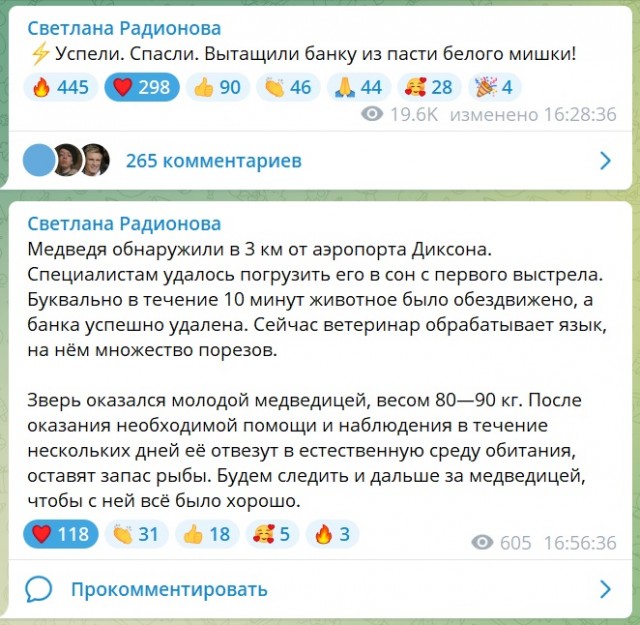 Тревожные новости о спасении белого мишки, у которого в пасти застряла банка сгущёнки