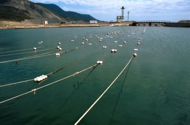 Многомиллионный научный центр в Анапе купили на аукционе за 1,8 тысячи рублей