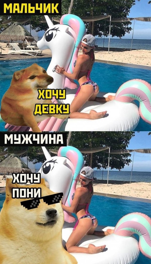 Картинки и мемы, всем хороших выходных