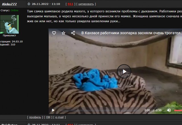Трогательное видео шимпанзе