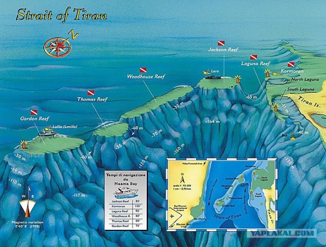 Синайские приключения. Шарм-эш-Шейх и окресности