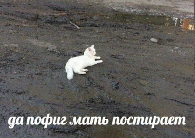 Ну как же ему хорошо