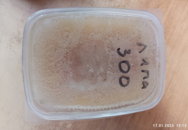 Какие продукты можно купить нынче в Испании на 100 евро или Как изменились цены за последний год