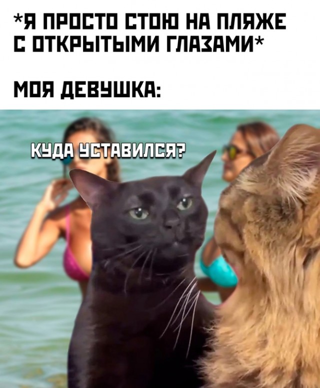 Весёлый полтишок 27.07.23