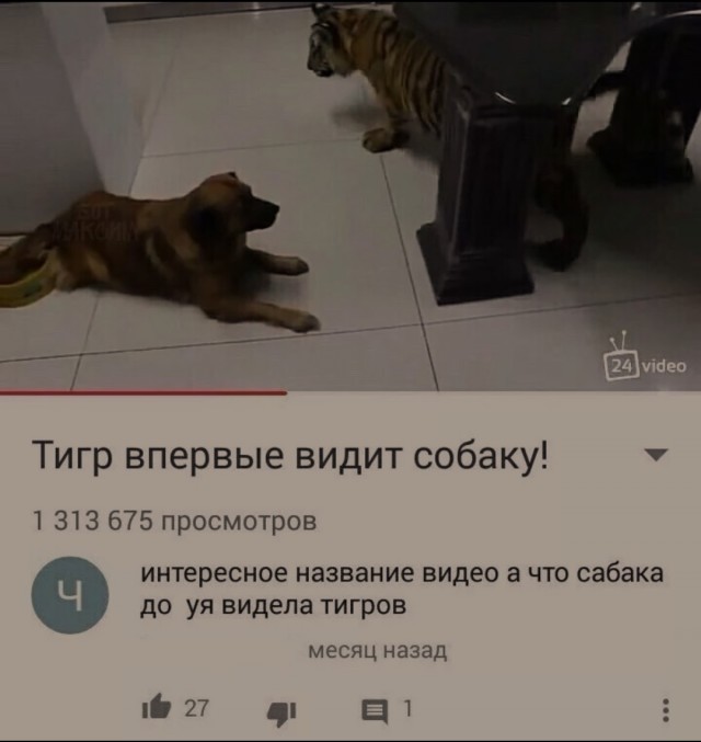 Враги в одной клетке