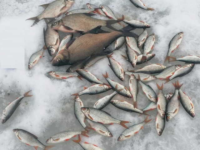 Выходной день