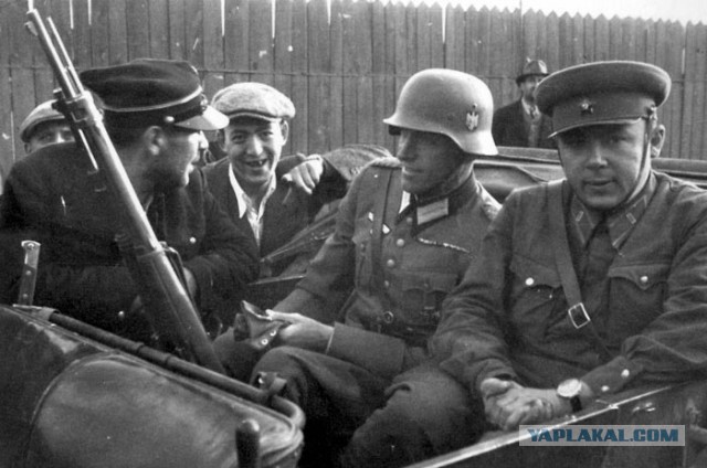 Кто воевал на стороне Гитлера