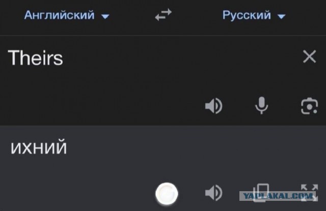 Весёлый полтишок 05.05.24