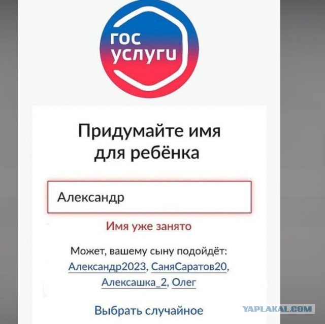 Разработчики представили первую версию раздела знакомств на Госуслугах