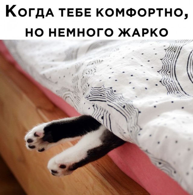 Так себе картинки 19.05.24
