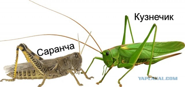 В школе испортили ребенка