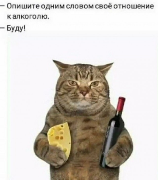 Дегустатор