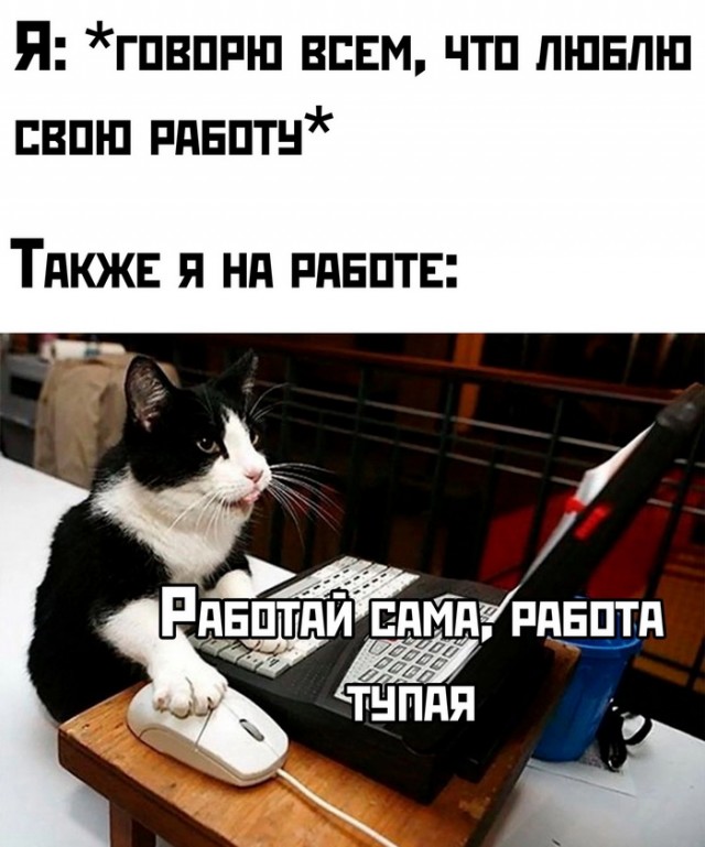 Завалялось тут случайно немного забавных картинок