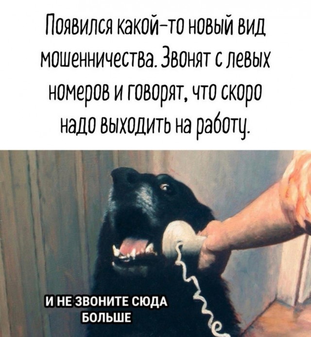 Веселые картинки после длинных выходных (09.01)