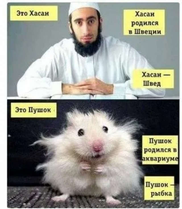 Между тем, на улицах Стокгольма