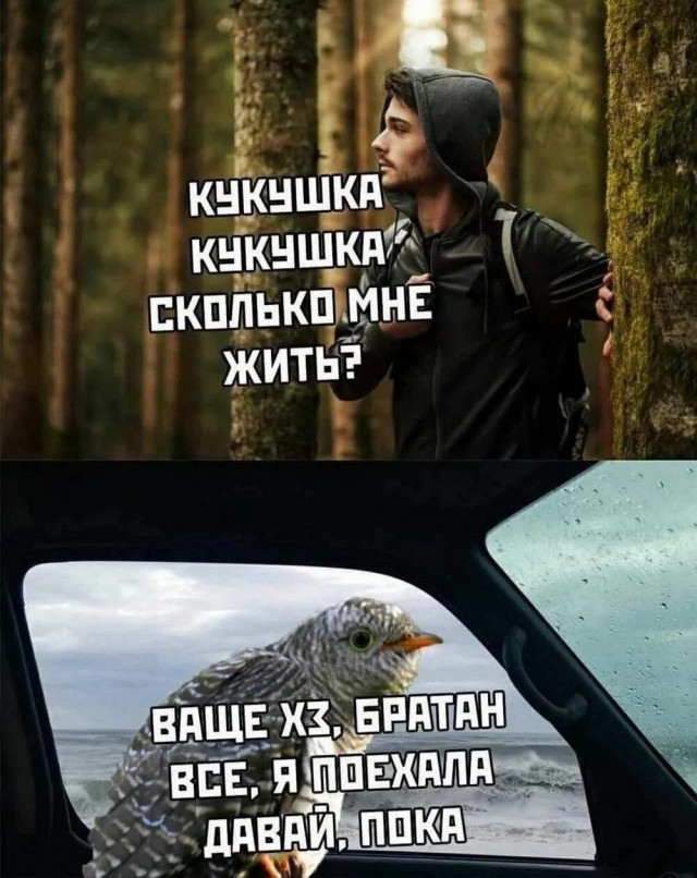 Нуштош 07.02.2025. Так же близко (s3e5)