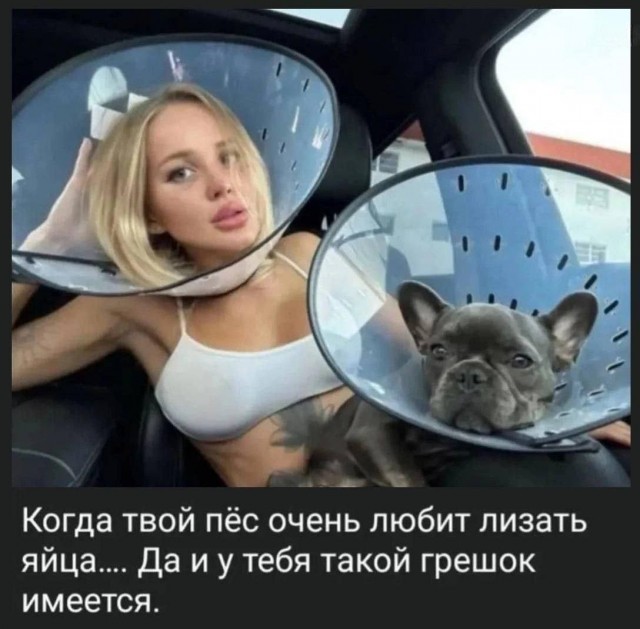 Сборник чтобы подеградировать - 2