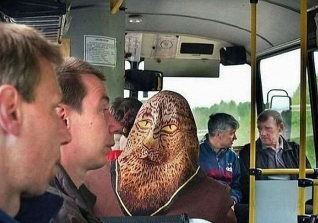 Прикольные и просто красивые картинки